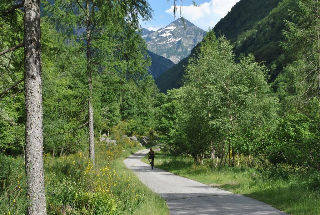 Myverzasca Resort Casa Rossa Brione  Extérieur photo